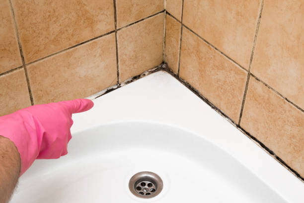 Best Crawl Space Mold Removal  in Smiths Station, AL